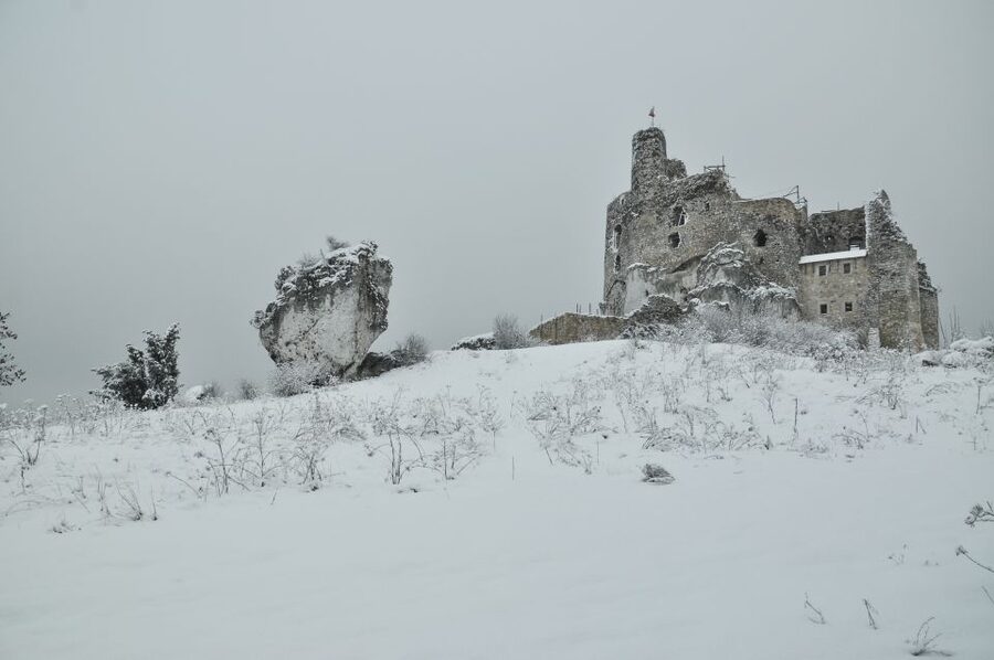 From Krakow: Trail of the Eagles’ Nests Day Tour - The guide can make or break the day
