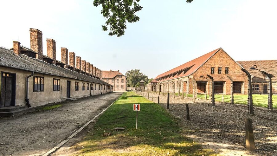 From Krakow: Wieliczka Salt Mine & Auschwitz Guided Trip - Birkenau and the railway route into the camp