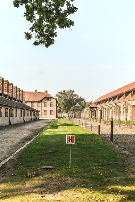 From Krakow: Wieliczka Salt Mine & Auschwitz Guided Trip - What to bring and what not to bring