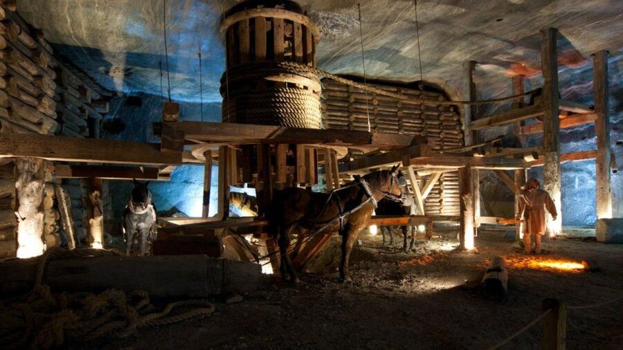 From Krakow: Wieliczka Salt Mine Guided Tour & Transfer - Who should book this experience?