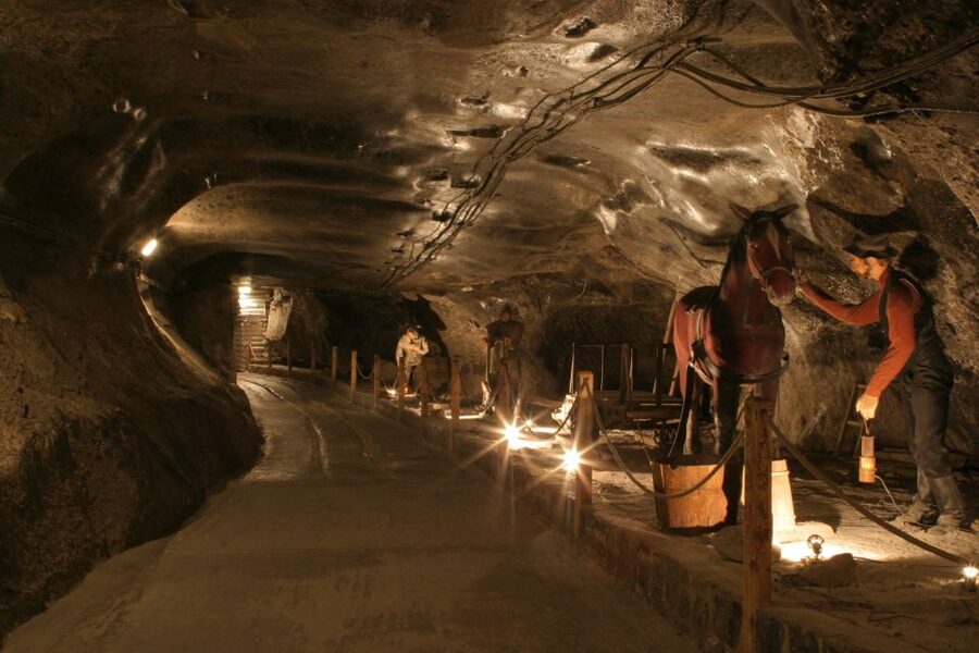 From Krakow: Wieliczka Salt Mine Tour - Who will enjoy this tour most