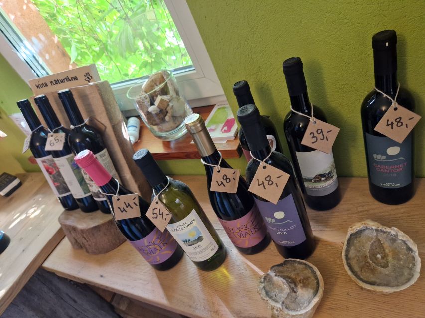 From Krakow: Wine Tasting at Vineyard - Key points before you book