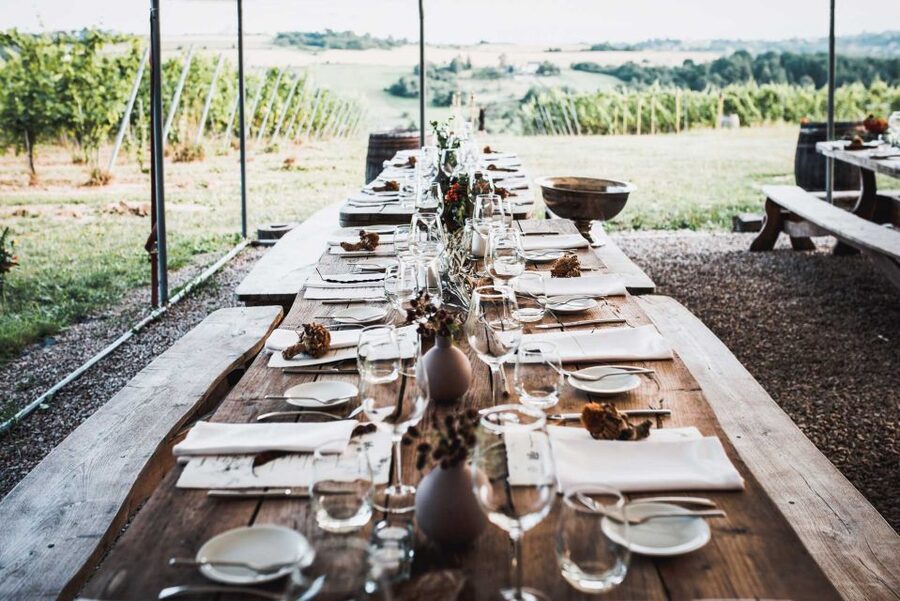 From Krakow: Wine Tasting at Vineyard - The story behind Lesser Poland wine