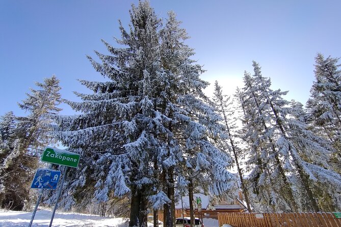 From Krakow: Zakopane & Chocholowskie Thermal Baths - Witow and the hot oscypek tasting
