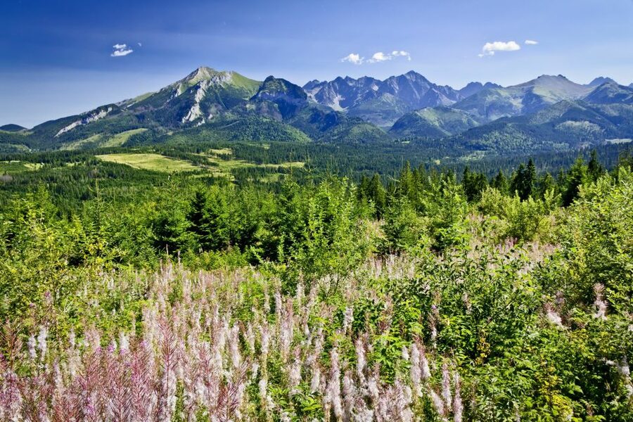 From Krakow: Zakopane Tatra Mountains & Hot Springs Tour - Zakopane from Krakow: what kind of day is this?