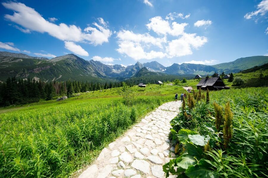From Krakow: Zakopane Tatra Mountains & Hot Springs Tour - Krupowki Street and the Zakopane stop