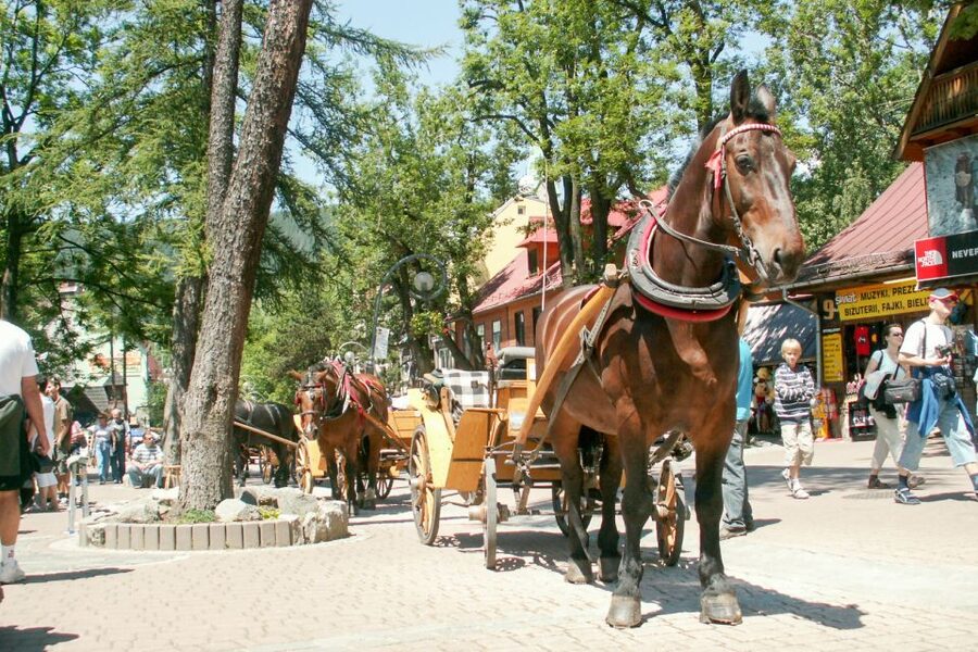 From Krakow: Zakopane & Tatra Mountains Tour - Who will get the most from this day