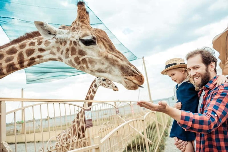 From Krakow: Zoo Trip with Private Luxury Transfer - Key points to know before booking