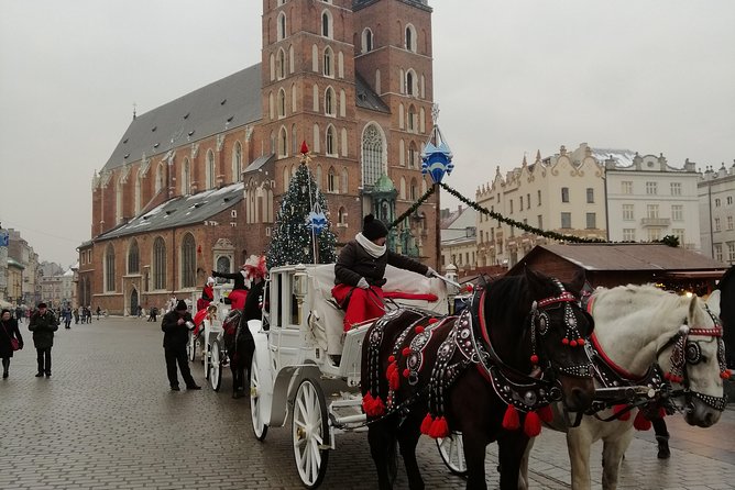 From Warsaw Auschwitz and Krakow one day tour by train with pick up and drop off - Transfers, drivers, and communication