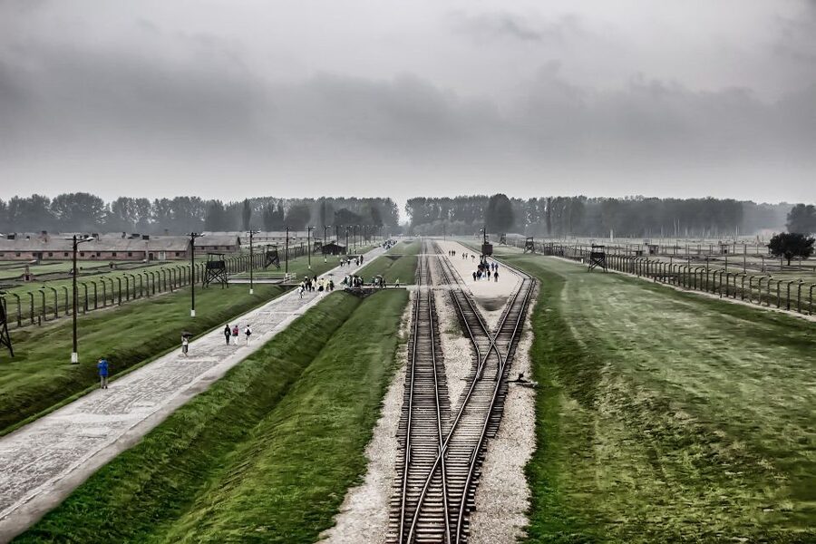 From Warsaw: Auschwitz-Birkenau Guided Tour with Fast Train - Why this day trip carries real weight