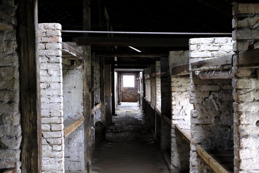 From Warsaw: Auschwitz-Birkenau Guided Tour with Fast Train - What the transport package is worth