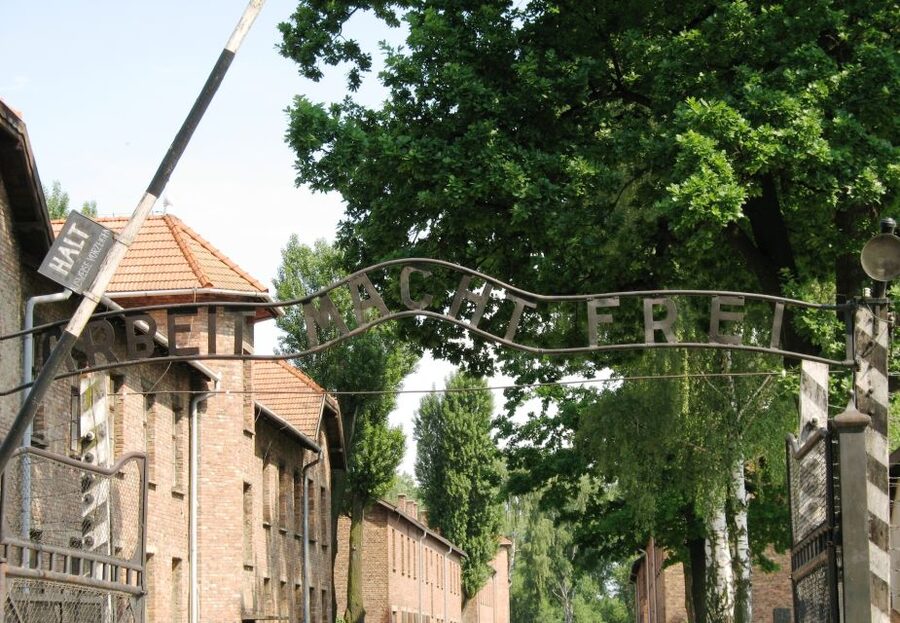 From Warsaw: Auschwitz-Birkenau Small Group Tour with Lunch - Why a live guide makes a difference