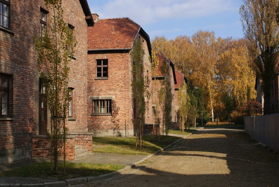 From Warsaw: Auschwitz-Birkenau Small Group Tour with Lunch - Who should book this Auschwitz day trip?