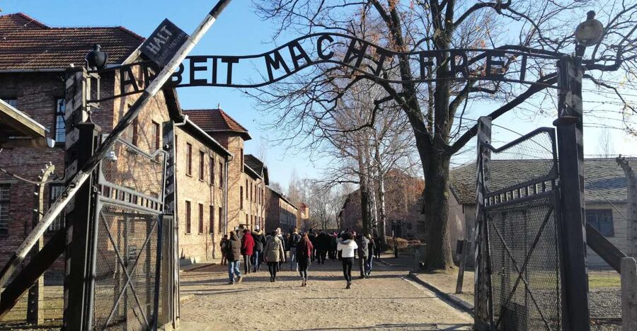 From Warsaw: Auschwitz-Birkenau Tour by Car - The one-hour restaurant break