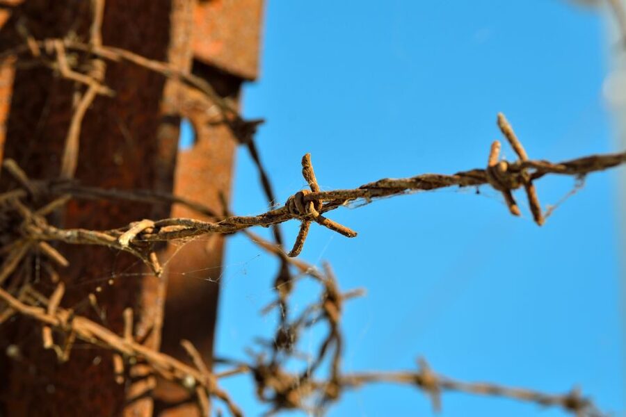 From Warsaw: Auschwitz-Birkenau Tour by Car - Is $265 good value?