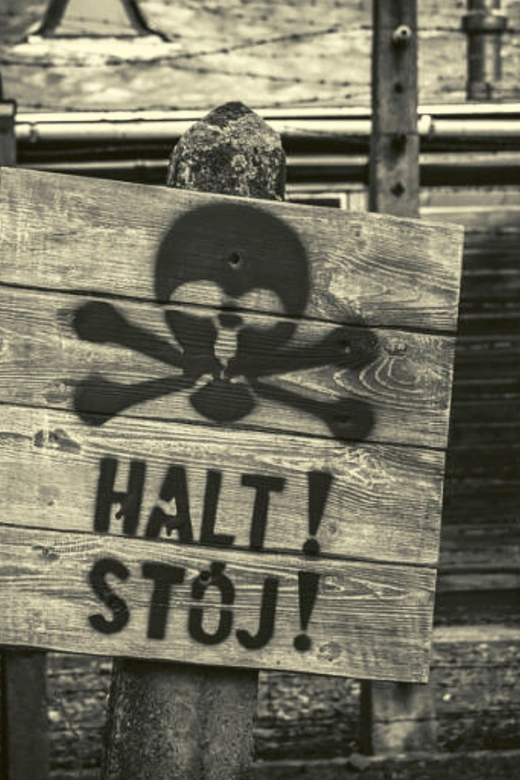 From Warsaw: Auschwitz Day Tour by Private Car with Lunch - Should you book the Auschwitz day tour from Warsaw?