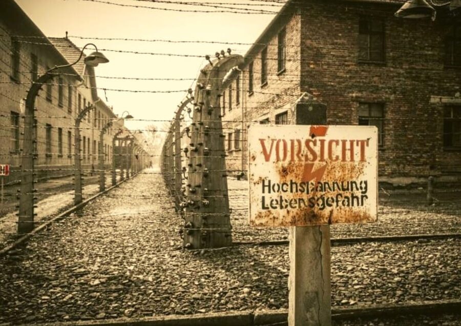 From Warsaw: Auschwitz Day Tour by Private Car with Lunch - Why the Auschwitz visit needs a full day from Warsaw