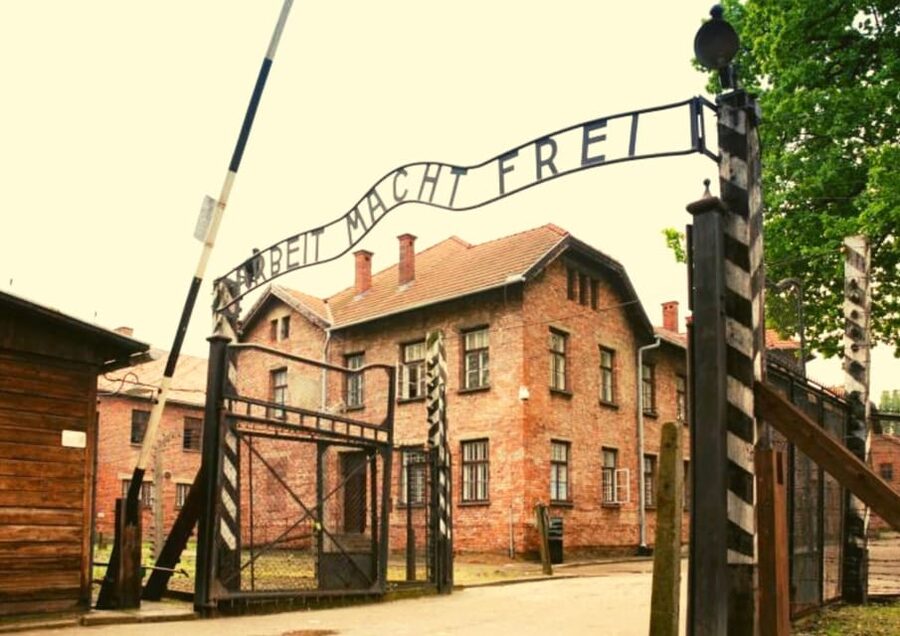 From Warsaw: Auschwitz Day Tour by Private Car with Lunch - Personal artifacts and stories that make the history human