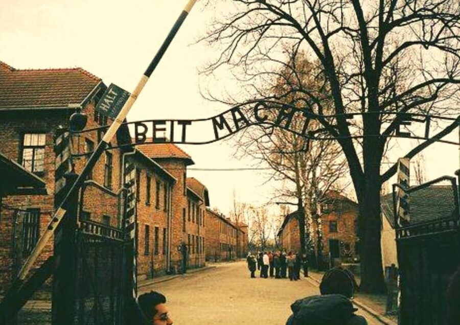 From Warsaw: Auschwitz Day Tour by Private Car with Lunch - Who should book this day trip?