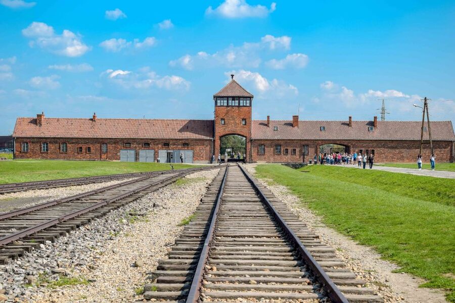 From Warsaw: Guided Tour to Auschwitz-Birkenau and Krakow - Comfort, access, and what to pack