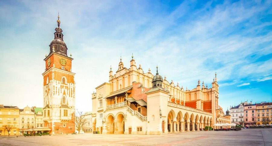 From Warsaw: Guided Tour to Auschwitz-Birkenau and Krakow - The guide makes the difficult subject clearer