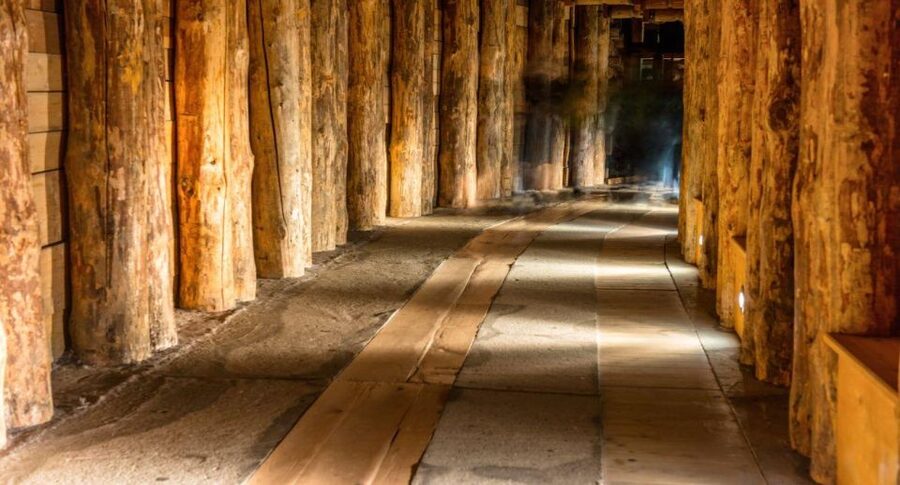 From Warsaw: Guided Tour to Wieliczka Salt Mine and Krakow - What the $220 price really buys you