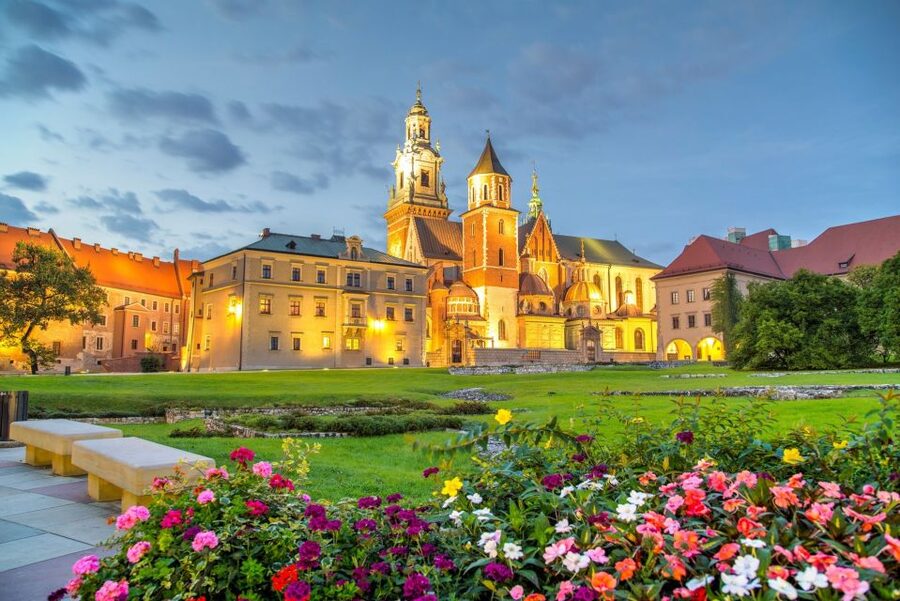 From Warsaw: Krakow Sightseeing Tour by Express Train - What the guide adds to the day