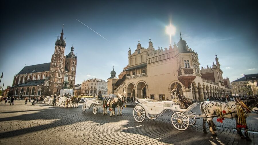 From Warsaw: Krakow Sightseeing Tour by Express Train - Wawel Castle and the royal center