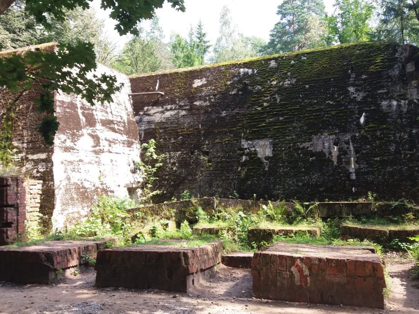 From Warsaw: Tour of the Wolf's Lair, Hitler's HQ by Car - The quality of the driving and guiding