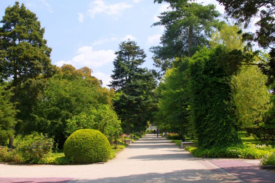 From Warsaw: Tour to Chopin's Birthplace - Żelazowa Wola - What the six-hour schedule really means