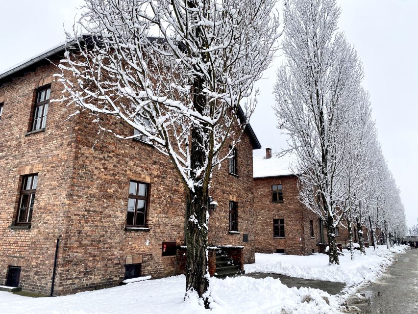 From Wrocław: Full-Day Auschwitz-Birkenau Guided Tour - Key points to know before you book