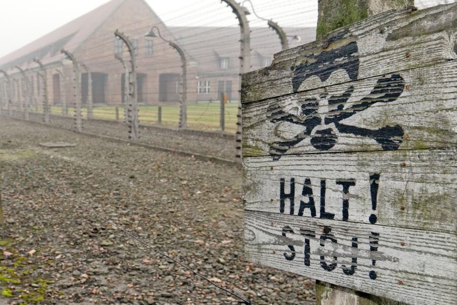 From Wrocław: Full-Day Auschwitz-Birkenau Guided Tour - Practical ways to prepare