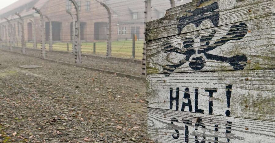 From Wrocław: Full-Day Auschwitz-Birkenau Guided Tour - The long road to Auschwitz