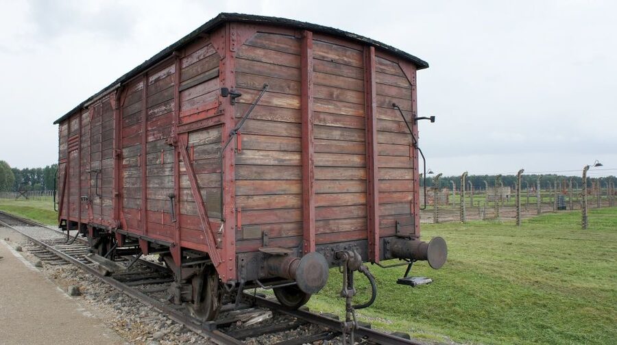 From Wrocław: Full-Day Auschwitz-Birkenau Guided Tour - Price, comfort, and value at $261