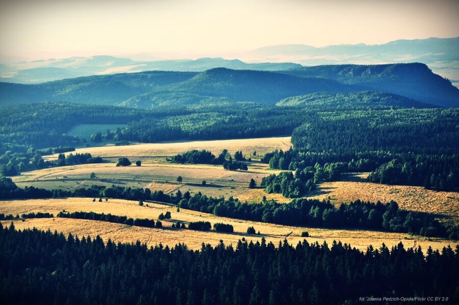 From Wroclaw: Full-Day Stolowe Mountains Trekking Tour - Who will enjoy this Stolowe Mountains day trip?