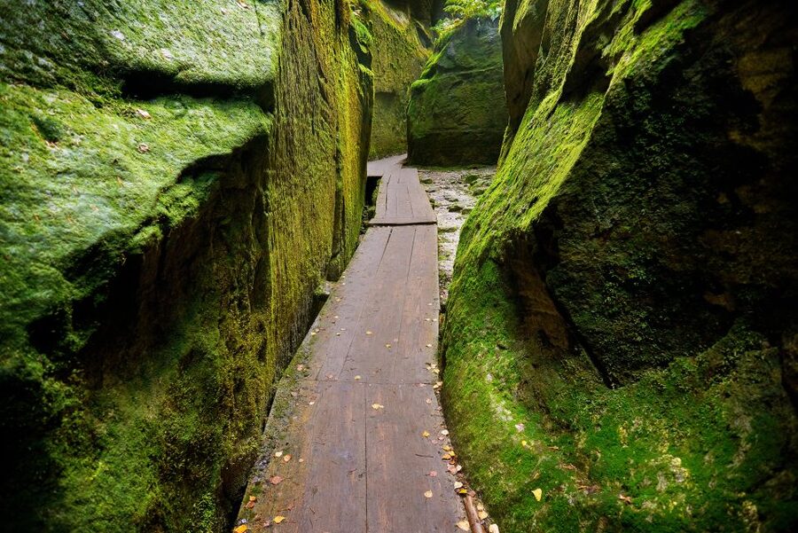 From Wroclaw: Hiking Trail in Rock City Adrspach - Lunch and the return to Wroclaw
