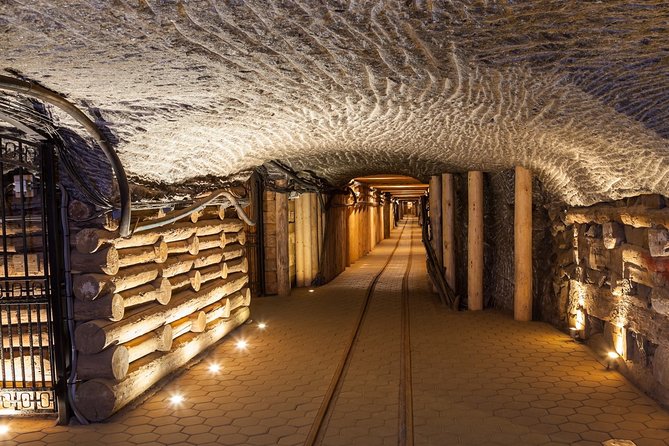 Full-Day Auschwitz-Birkenau and Salt Mine from Krakow - Food, breaks, and what to carry