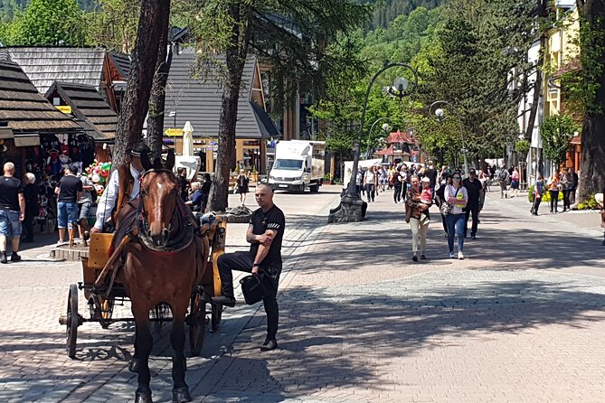 Full-Day Dunajec Rafting and Zakopane Tour from Krakow - Who should book this Krakow mountain day?