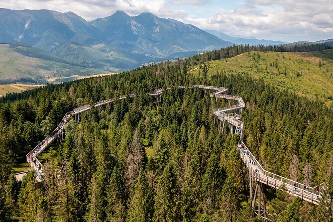 Full-Day Private Tour of Slovakia Treetop Walk and Zakopane - Bachledka Treetop Walk: the day’s most unusual stop