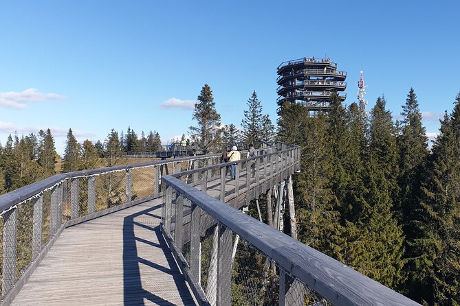 Full-Day Private Tour of Slovakia Treetop Walk and Zakopane - Two hours in Zakopane and Krupówki Street