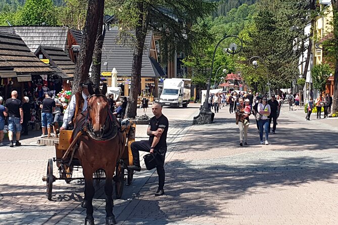 Full-Day Private Tour of Slovakia Treetop Walk and Zakopane - Who will get the most from this trip?