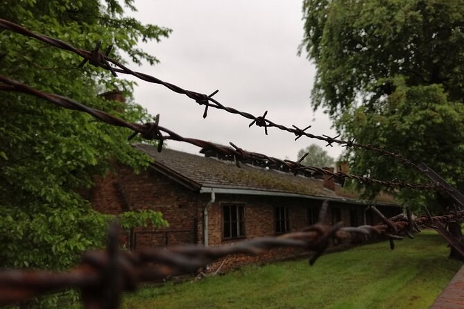 Full-Day Tour From Warsaw to Auschwitz (guided) and Krakow by car - A very long day from Warsaw