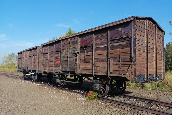 Full-Day Tour From Warsaw to Auschwitz (guided) and Krakow by car - Who should book this day trip?