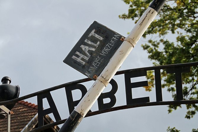 Full-Day Tour of Auschwitz-Birkenau and Salt Mine from Krakow - Starting Near Krakow’s Old Town