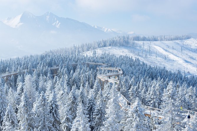 Full-Day Tour of Zakopane and Sky Walk Heart of Poronin - Walking 854 meters above Zgorzelisko Glade