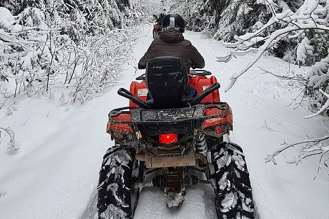 Full day Tour Zakopane Snowmobiles Thermal Baths from Krakow - Snowmobiling beneath the Tatra Mountains