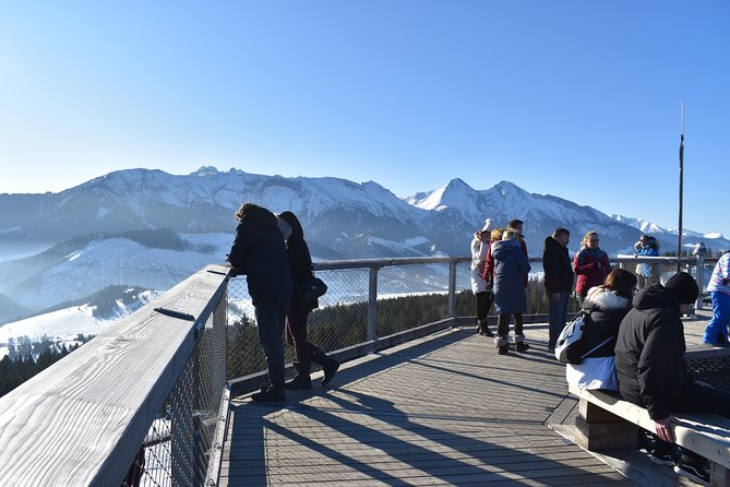 Full-Day Zakopane and Slovakia Treetop Walk From Krakow - The driver-led format, and what it really means