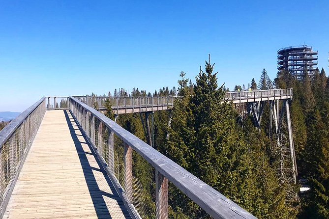 Full-Day Zakopane and Slovakia Treetop Walk From Krakow - Travel time, group size, and comfort