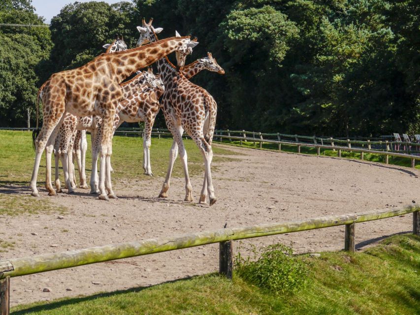 Gdansk: Oliwa Zoo with Tickets and Roundtrip Transportation - Why Oliwa Zoo works well as a Gdansk day trip