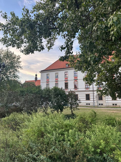 Group city tour (walking tour) through Wroclaw in German - Timing, weather, and comfort